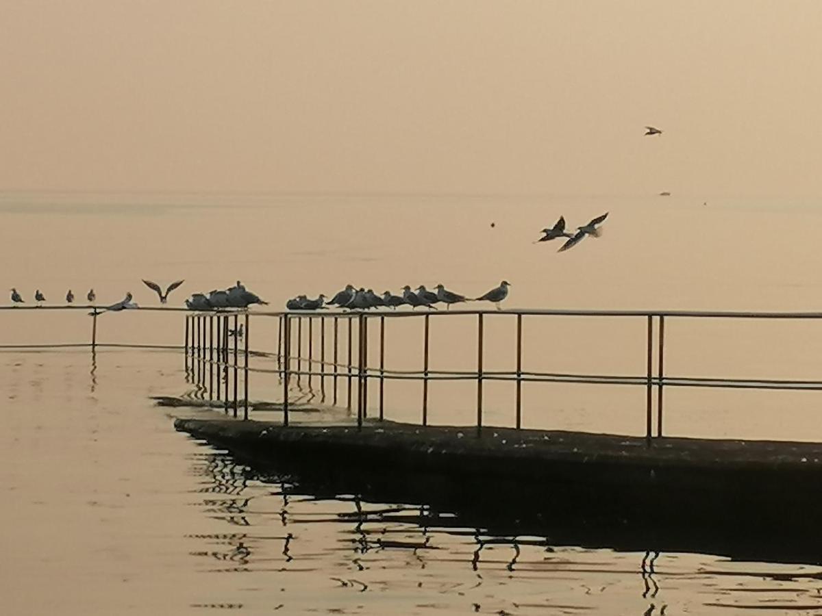 Apartments Jurisevic Umag Dış mekan fotoğraf